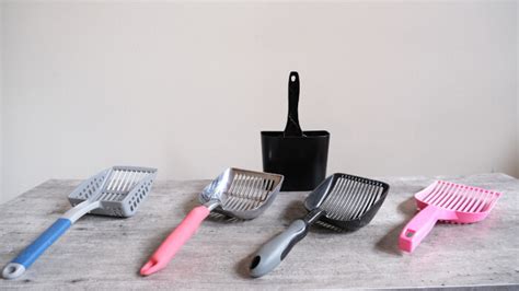 The 5 Best Cat Litter Scoops: Purchased and Tested .